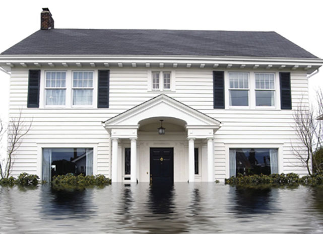 Flood Content Image 2